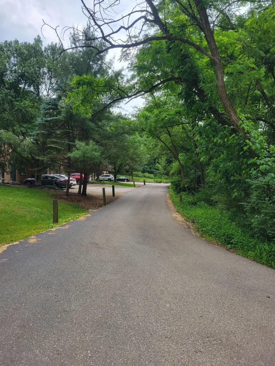 Tree-lined drive through the Hidden Pines community